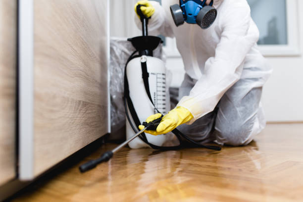 Best Exterminator Services  in West Haverstraw, NY