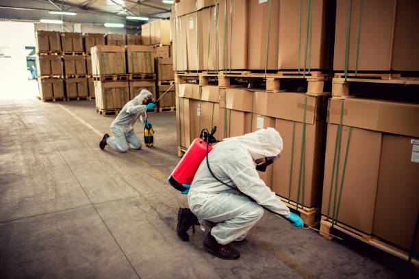 Best Best Pest Control Companies  in West Haverstraw, NY