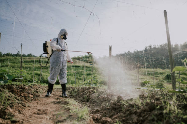 Best Pest Control Cost  in West Haverstraw, NY