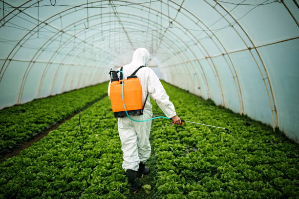 Best Pest Inspection Near Me  in West Haverstraw, NY