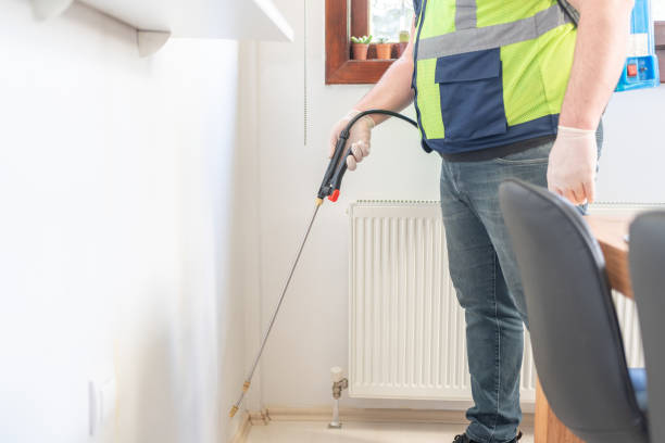 Best Rat Extermination Near Me  in West Haverstraw, NY