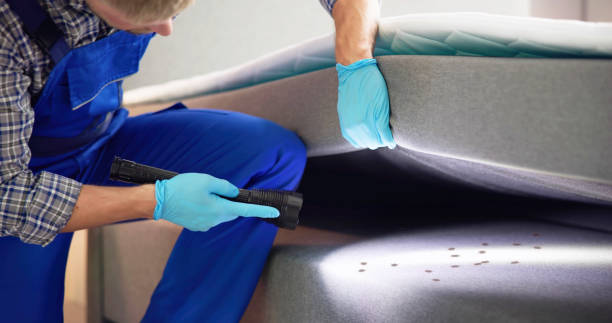 Best Local Pest Control Services  in West Haverstraw, NY