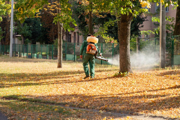 Flea Control Services in West Haverstraw, NY