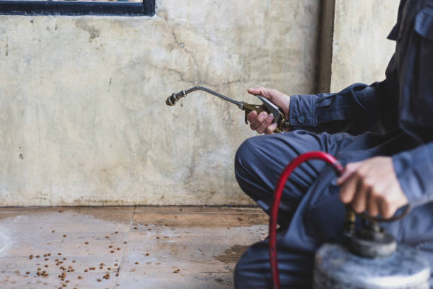 Best Termite Control Services  in West Haverstraw, NY
